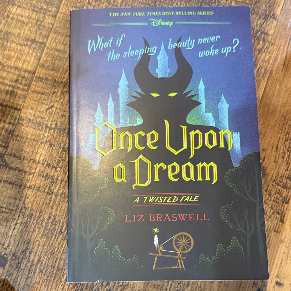 Disney Once Upon a Dream Book with Blue and Green Cover